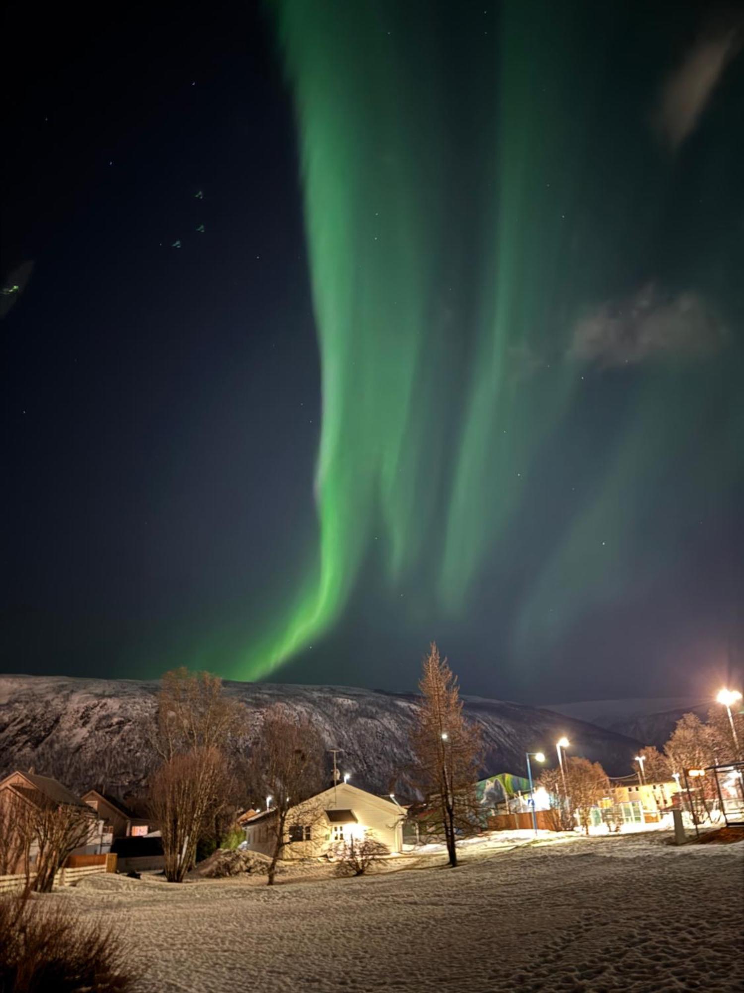 Luxury Apartment Vip Northern Lights Trip 트롬쇠 외부 사진